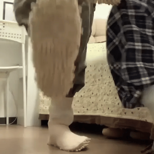 Lazy Floor Cleaning Socks