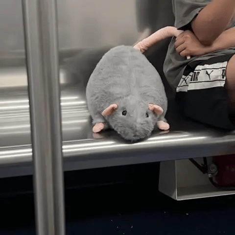 Three chonky rat plushies stacked on top of each other