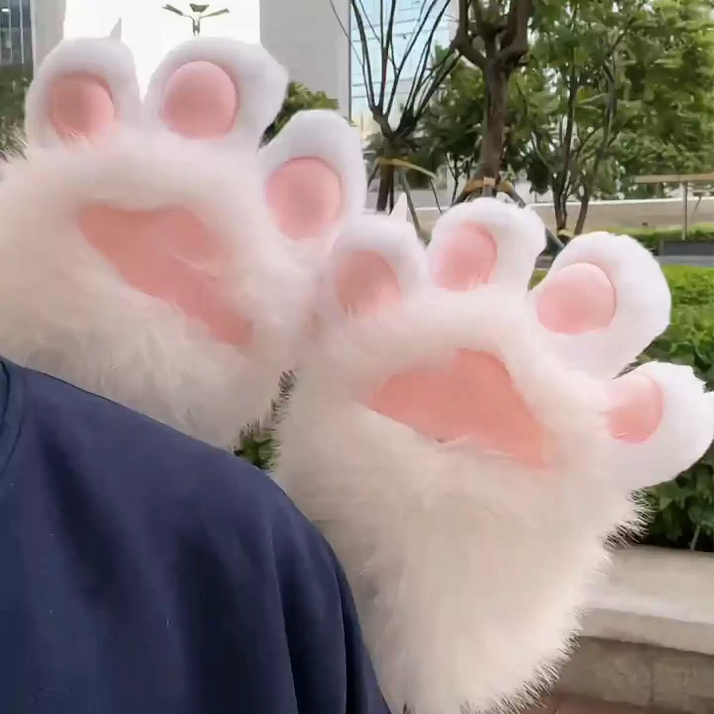 The Purrfect Paw Gloves